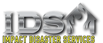 Impact Disaster Logo